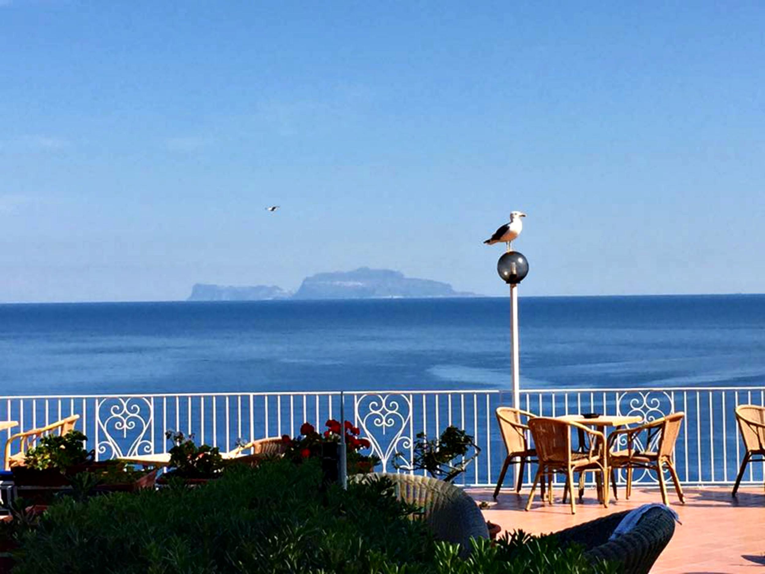 Hotel Don Felipe Ischia Eksteriør billede